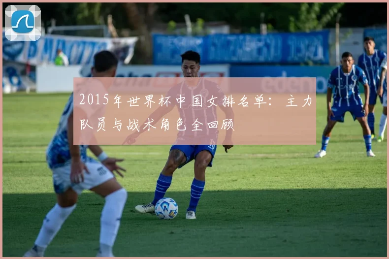 2015年世界杯中国女排名单：主力队员与战术角色全回顾