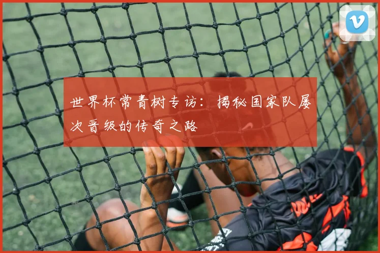 世界杯常青树专访：揭秘国家队屡次晋级的传奇之路