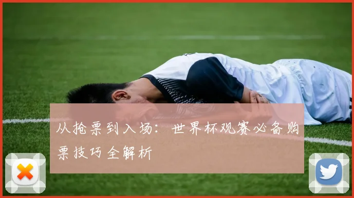 从抢票到入场：世界杯观赛必备购票技巧全解析
