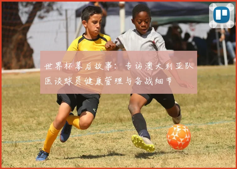 世界杯幕后故事：专访澳大利亚队医谈球员健康管理与备战细节