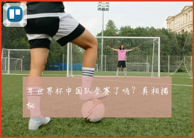 年世界杯中国队参赛了吗?真相揭秘